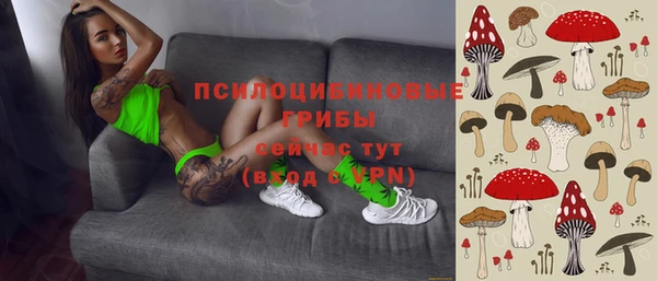мдпв Богородск