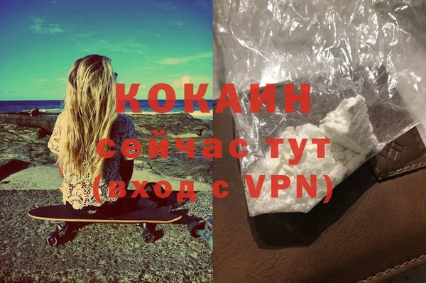 прущие крисы Белокуриха